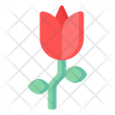 Red Tulip Icon