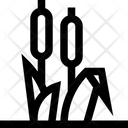 Reed Icon
