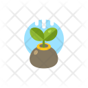 Reforestation Icon