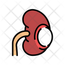 Renal Cyst Color Icon