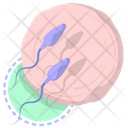 Reproduce Sperm Fertilization Icon