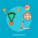 Reproduction Organ Medical Icon