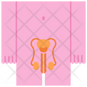 Reproductive Icon
