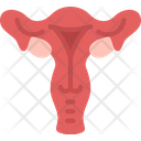 Reproductive  Icon