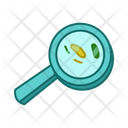 Magnifer Search Bacteria Icon