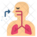 Respiratory  Icon