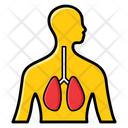 Lungs Pulmonology Respiratory Tract Icon