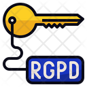 Rgpd Access Key Icon