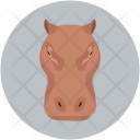 Rhinoceros Hippopotamus Rhino Icon