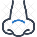 Rhinology Icon