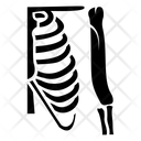 Rib Cage Icon