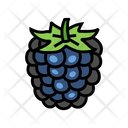 Ripen Blackberry Icon