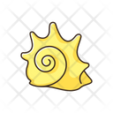 Seashell Sea Shell Shell Icon