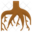 Root Plant Tree Icon