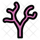 Root Tree Nature Icon