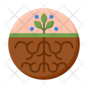 Root Vegetable Healthy Icon