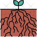 Root Icon