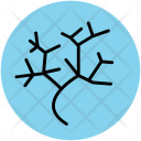 Roots  Icon