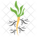 Roots  Icon