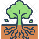 Roots  Icon