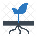 Roots Plant  Icon