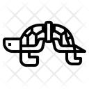 Rope Stuck On Turtle Icon