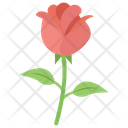 Rose Flower Petal Icon