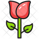 Flower Rose Fragrance Icon