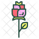 Rose Flower Floral Icon