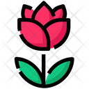 Spring Rose Flower Icon