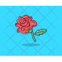 Rose Spring Flower Agriculture Icon