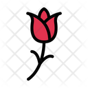 Flower Rose Propose Icon