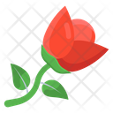 Flower Rose Garden Flower Icon