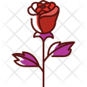 Rose Flower Beautiful Icon