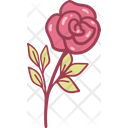 Flower Rose Wedding Icon