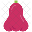 Rose Apple Fruit Exotic Icon