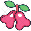 Rose Apple Icon