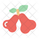 Roseapple Icon
