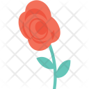 Rosebud Rose Flower Icon
