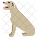 Rottweiler Icon
