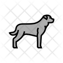 Rottweiler Yorkshire Beagle Icon