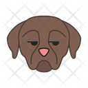 Rottweiler Dog Unamused Icon
