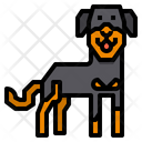 Rottweiler Dog Animal Icon