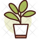 Rubber  Icon
