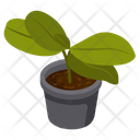 Rubber Plant Icon