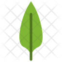 Sabah Snake Grass Icon