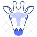 Safari Icon