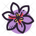 Saffron flower Icon