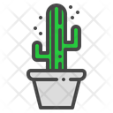 Saguaro cactus Icon