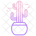 Saguaro Cactus Cactus Pot Cactus Plant Icon